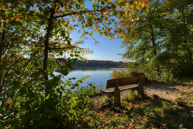 了更深刻的 了更深刻的