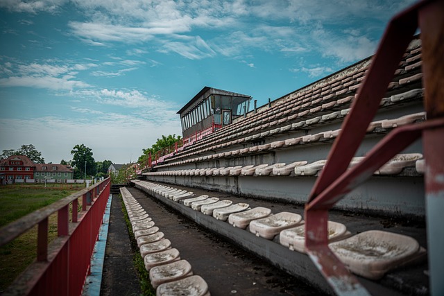 其中沧州雄 其中沧州雄